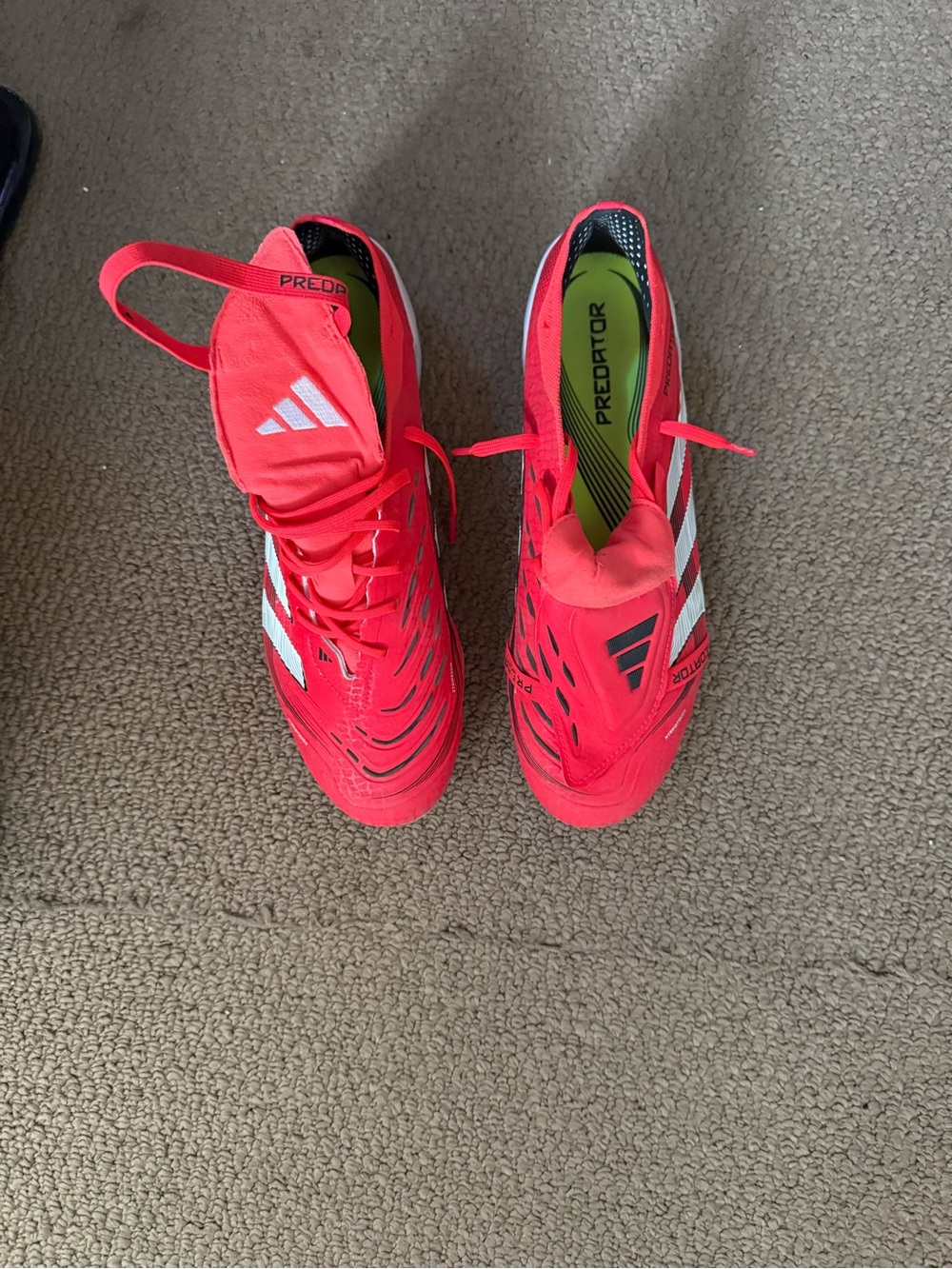 Adidas Predator Elite FG Soccer Cleats - US 9.5 - Like New + Predator Bag